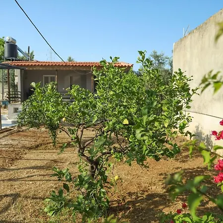 Dolce Far Niente In Greece *